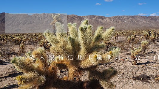 光大银行信用卡逾期几天会上门 光大银行信用卡逾期几天会上门