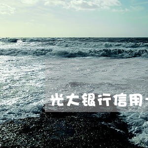 光大银行信用卡逾期分期 光大银行信用卡逾期分期