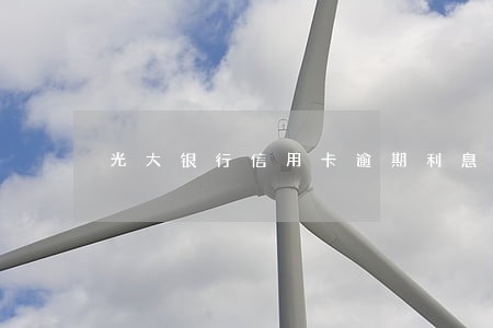 光大银行信用卡逾期利息计算 光大银行信用卡逾期利息计算