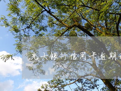 光大银行信用卡逾期利息高 光大银行信用卡逾期利息高