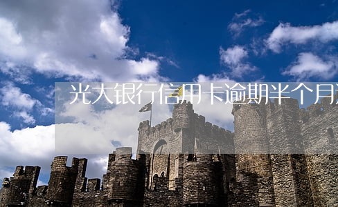 光大银行信用卡逾期半个月还款