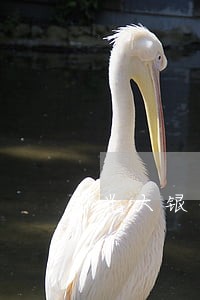光大银行信用卡逾期半年多 光大银行信用卡逾期半年多