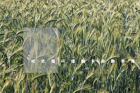 光大银行信用卡逾期半年怎么办 光大银行信用卡逾期半年怎么办