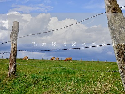 光大银行信用卡逾期半年还