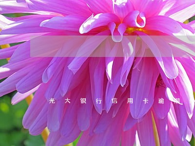 光大银行信用卡逾期协商减免 光大银行信用卡逾期协商减免