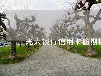光大银行信用卡逾期协商能分几期