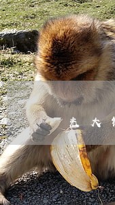 光大银行信用卡逾期协商话术 光大银行信用卡逾期协商话术