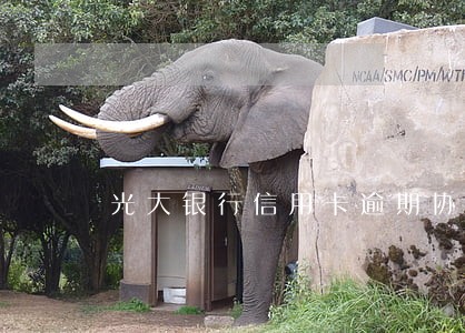 光大银行信用卡逾期协商还款 光大银行信用卡逾期协商还款