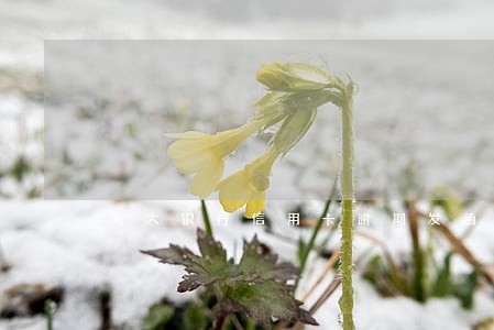 光大银行信用卡逾期发函 光大银行信用卡逾期发函