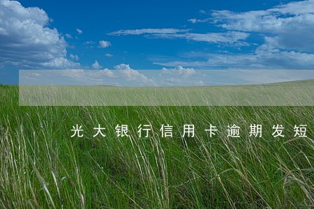 光大银行信用卡逾期发短信要报 光大银行信用卡逾期发短信要报