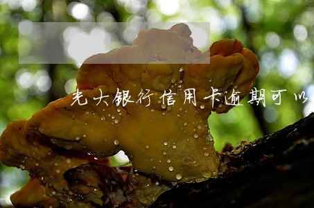光大银行信用卡逾期可以协商吗 光大银行信用卡逾期可以协商吗