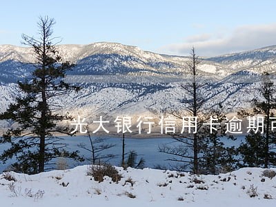 光大银行信用卡逾期可以提额 光大银行信用卡逾期可以提额