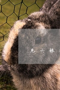 光大银行信用卡逾期可以撤销 光大银行信用卡逾期可以撤销