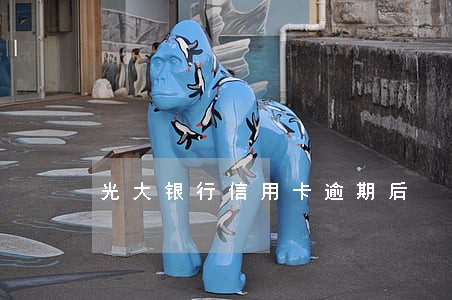 光大银行信用卡逾期后 光大银行信用卡逾期后
