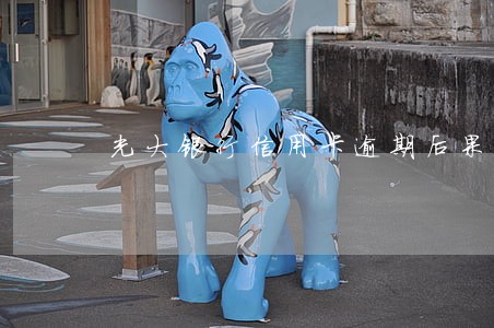 光大银行信用卡逾期后果 光大银行信用卡逾期后果
