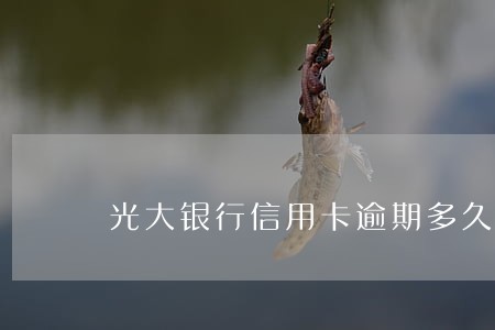 光大银行信用卡逾期多久上黑 光大银行信用卡逾期多久上黑