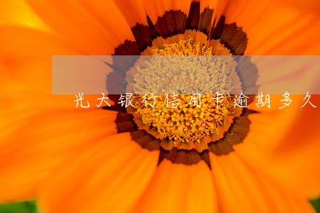 光大银行信用卡逾期多久开始催