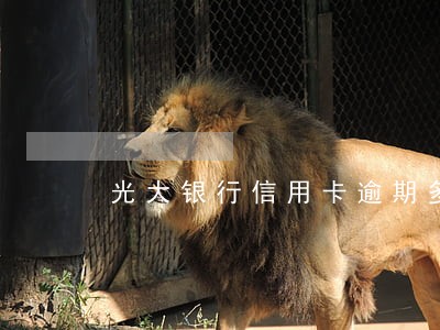 光大银行信用卡逾期多久才上征信
