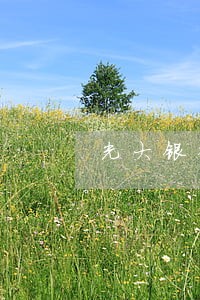 光大银行信用卡逾期客服打不进 光大银行信用卡逾期客服打不进