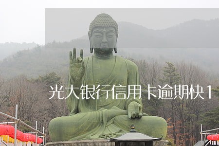 光大银行信用卡逾期快1年了 光大银行信用卡逾期快1年了