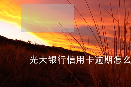 光大银行信用卡逾期怎么查