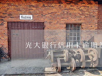 光大银行信用卡逾期怎么还款 光大银行信用卡逾期怎么还款