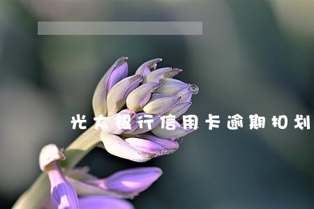 光大银行信用卡逾期扣划 光大银行信用卡逾期扣划