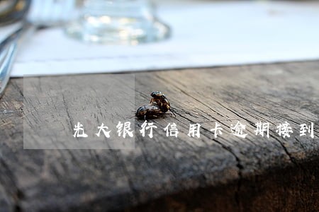 光大银行信用卡逾期接到律师电话 光大银行信用卡逾期接到律师电话