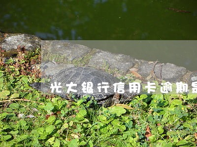 光大银行信用卡逾期是 光大银行信用卡逾期是