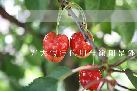 光大银行信用卡逾期是外包的吗 光大银行信用卡逾期是外包的吗
