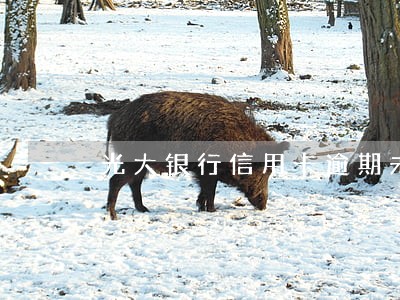 光大银行信用卡逾期未还款怎么办 光大银行信用卡逾期未还款怎么办