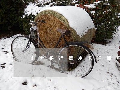 光大银行信用卡逾期查找居住地 光大银行信用卡逾期查找居住地