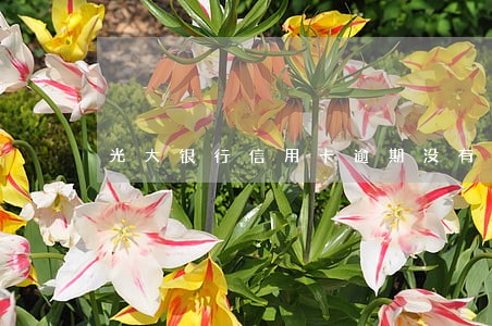 光大银行信用卡逾期没有通知 光大银行信用卡逾期没有通知