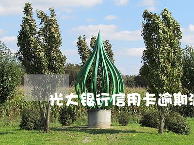 光大银行信用卡逾期派出所立案 光大银行信用卡逾期派出所立案