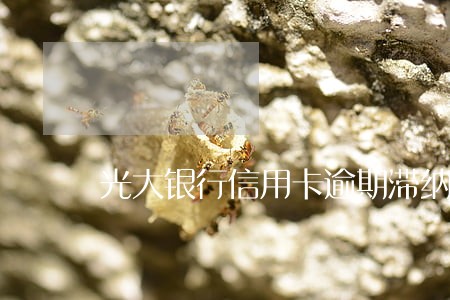 光大银行信用卡逾期滞纳金多少 光大银行信用卡逾期滞纳金多少