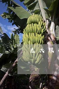光大银行信用卡逾期电话 光大银行信用卡逾期电话