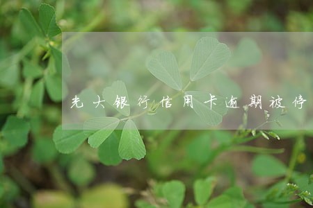光大银行信用卡逾期被停用 光大银行信用卡逾期被停用