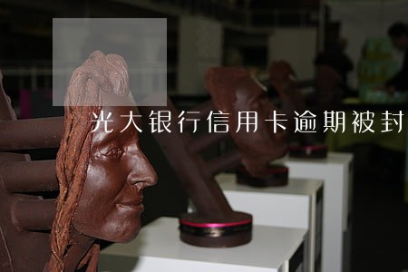 光大银行信用卡逾期被封 光大银行信用卡逾期被封