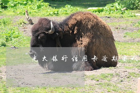 光大银行信用卡逾期要我办分期 光大银行信用卡逾期要我办分期