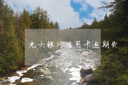 光大银行信用卡逾期费 光大银行信用卡逾期费