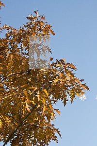 光大银行信用卡逾期还款 光大银行信用卡逾期还款