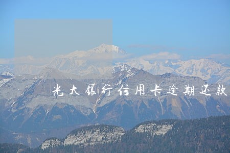 光大银行信用卡逾期还款流程 光大银行信用卡逾期还款流程