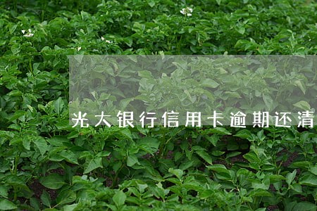 光大银行信用卡逾期还清了被锁定 光大银行信用卡逾期还清了被锁定