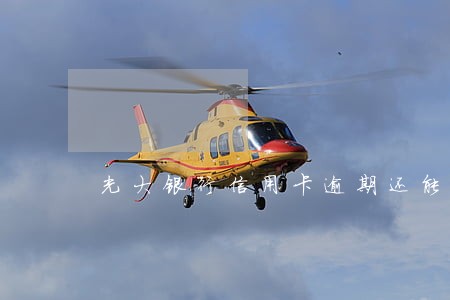 光大银行信用卡逾期还能协商吗 光大银行信用卡逾期还能协商吗