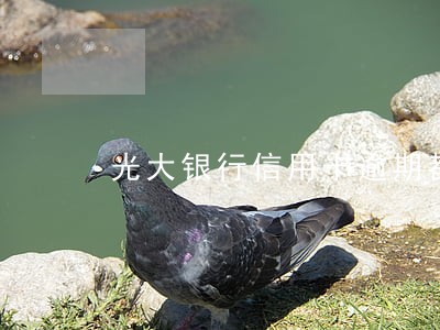 光大银行信用卡逾期都多久了 光大银行信用卡逾期都多久了