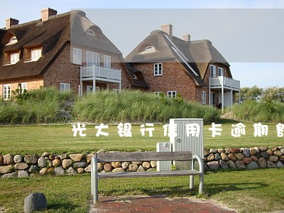 光大银行信用卡逾期额度为0 光大银行信用卡逾期额度为0