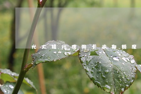 光大银行信用卡逾期额度归0