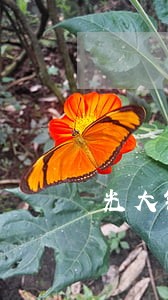 光大银行信用卡长时间逾期