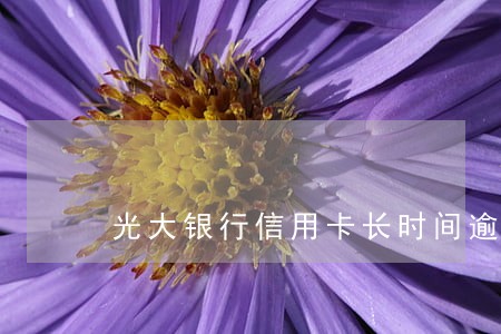 光大银行信用卡长时间逾期后 光大银行信用卡长时间逾期后