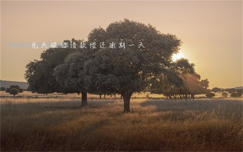 光大银行借款偿还逾期一天 光大银行借款偿还逾期一天